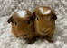 Beautiful Baby Brothers