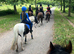 Fantastic pony club pony