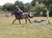 PONY CLUB/ALL-ROUNDER
