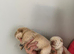 Chow chow x1 re available