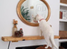Beautiful Bella. 3 yr old white British short hair female