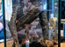Tarantulas and true spiders forsale