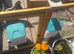 1 laying chicken and chicken coop and run