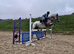 Vegas 16hh 6yrs leopard spotted Appaloosa gelding