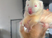 9-week Ferret Kits For Sale - Home Counties