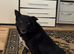 NERO – From Frozen & Forgotten to Faithful & Loving