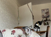 Male lurcher