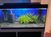105L fish tank
