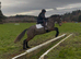 Sparrow, exceptional all rounder type