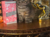 British shorthair x kitten
