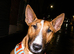 Rehome