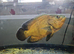 Oscar and Catfish