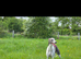 Kc reg whippet litter.