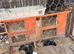 5 rabbits, hutches and enclosure