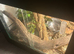 lavender albino royal and 3x3x2 vivarium setup