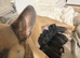Beautiful frenchie/ cocker spaniel puppies for sale