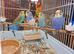 Super Tamed baby budgies for sale