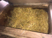 NEST-BOX AVAILABLE !