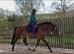 Broodmare/ happy hacker