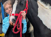 2yr Cob x Welsh filly to make 14.2