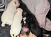Pug puppies
