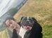 Freelance frenchie needs rehomed