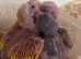 Breeding pair proven kakarakis