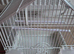 Budgie cage