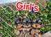 Yorkshire terrier Kc Registered