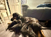 9 beautiful babies
