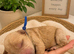 Exceptional F2 Miniature Cockapoo Puppies
