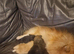 Boy pomeranian