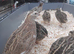 Quails