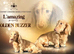 Longhaireds pending waiting list open
