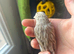 2 canaries