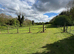Grazing land plots available