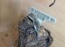 BEARDED DRAGONS WITH A TINT OF RED