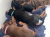 Brown and tan Doberman female ready now
