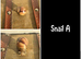 2 baby giant African land snails
