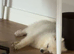 Mylo looking for a loving home
