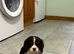 K C Reg FULLY VACCINATED