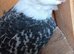 Turbit pigeons