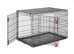 XXL dogs crate