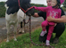 9hh piebald shetland gelding