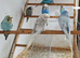 Crested budgies