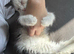 Ragdoll kitten