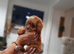 F1 toy cavapoo ready now