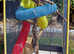 Ferplast tall cage & accessories
