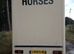 Vw 5 ton Horsebox (compact)