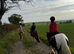 Cob mare 13h